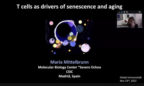“T cells as drivers of senescence and aging” by Dr. Maria Mittelbrunn