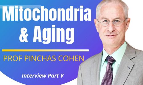Mitochondria & Aging | Prof Pinchas Cohen Ep5