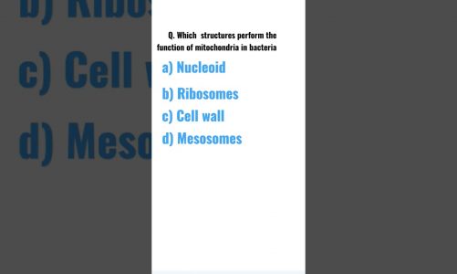 Which structure perform the function of mitochondria in bacteria#shorts#NEET #ytshorts