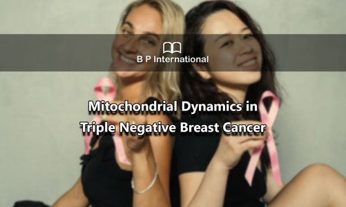 Mitochondrial Dynamics in Triple Negative Breast Cancer