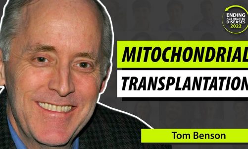 Tom Benson – Mitochondrial Transplantation Solves Mitochondrial Aging – EARD 2022