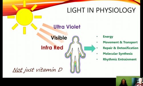How Light Governs Physiology: Nutrition, Natural Sunlight and Photobiomodulation with Bart Kay