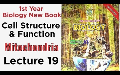 mitochondria || cell structure and function || 1st year biology sindh textbook board new book