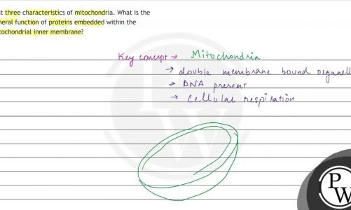 List three characteristics of mitochondria. What is the general function of proteins embedded wi…