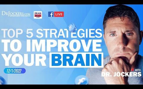 Top 5 Strategies to Improve your Brain