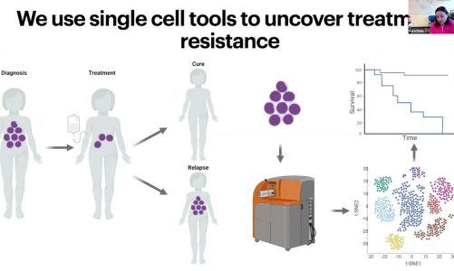 Predicting Patient Outcomes from Single Cells in Childhood Cancer