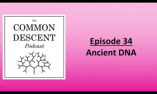 Episode 34 – Ancient DNA
