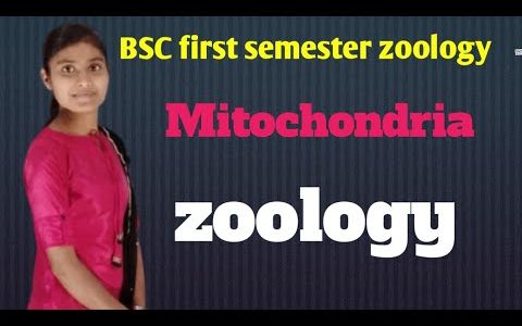 Mitochondria short video ll BSC first semester zoology #