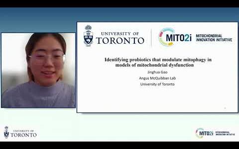 Jinghua Gao: “Identifying probiotics that modulate mitophagy in models of mitochondrial dysfunction”