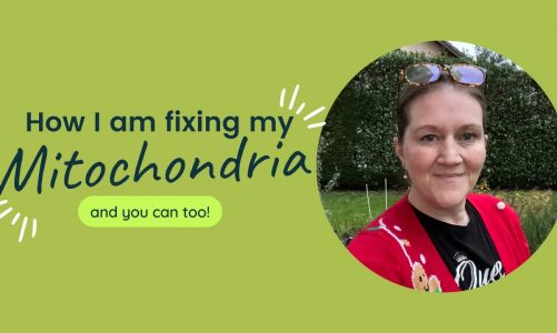 How I am fixing my mitochondria