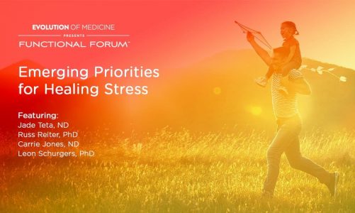 December 2022 Functional Forum: Emerging Priorities for Healing Stress
