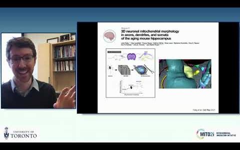 “Energy, Mitochondria, and the Brain-Body Connection”  by Dr. Martin Picard