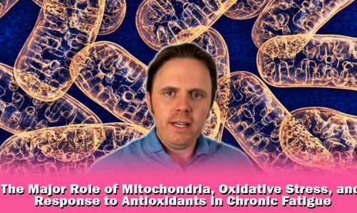 The Major Role of Mitochondria, Oxidative Stress, and Response to Antioxidants in Chronic Fatigue