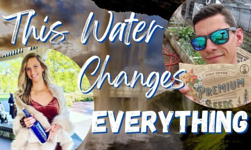 These Water Techs CHANGE LIVES | World Class Filtration and Electrolysis to Simplify Health