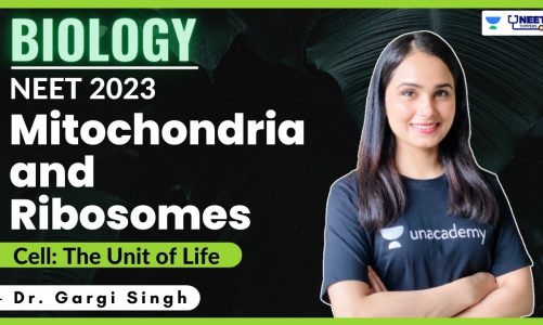Mitochondria and Ribosomes | Cell- The Unit of Life | NEET 2023/ 2024 | Dr Gargi Singh