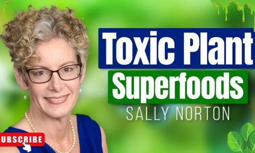 Sally Norton on Oxalate Toxicity, Dumping and the Carnivore Diet – Toxic Superfoods