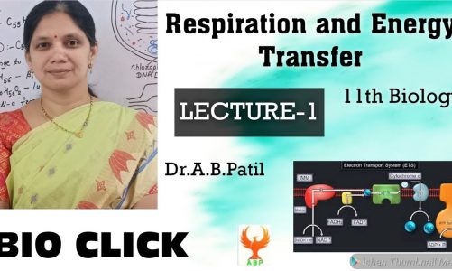 Respiration and Energy Transfer, 11 th Biology, Lect. -1, For NEET, CET, Dr. A. B. Patil, BIO CLICK.
