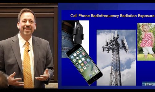 Doctors and Scientists on Cell Phone and Wireless Radiation Health Effects: Expert Symposium 2022