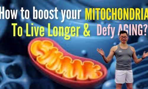 How to Boost your Mitochondria to live longer & defy ageing? James Tang Fitness
