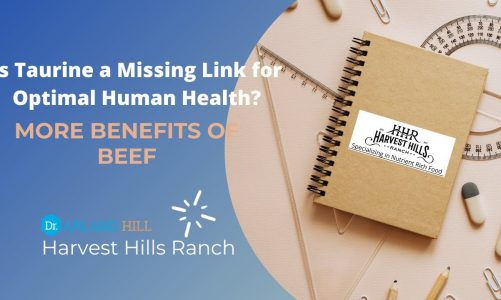 Is Taurine a Missing Link for Optimal Human Health? – More Benefits of Beef