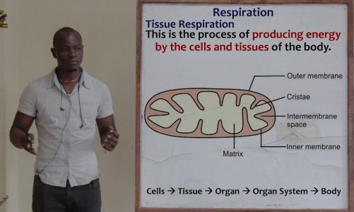 15. Respiration; Introduction and Phases of Respiration Biology Form 2