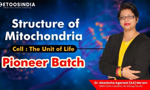 Cell the unit of life | Structure of Mitochondria | NEET Pioneer Batch 2024 | AA Ma'am | Etoosindia