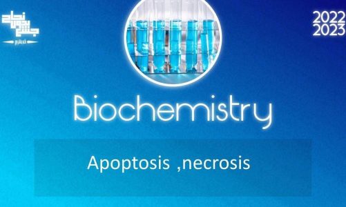 T 11, Apoptosis & necrosis, Biochemistry