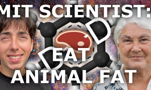 MIT Research Scientist Explains Carnivore Diet, Deuterium, Glyphosate, and Cholesterol | Dr. Seneff