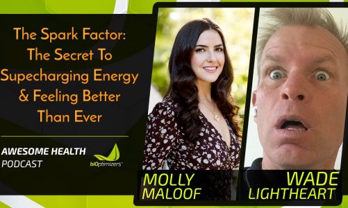 The Spark Factor: the secret to supercharging energy & feeling better than ever – with Molly Maloof