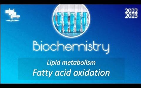 Revision of L17_18, Lipid metabolism 3,4, Biochemistry