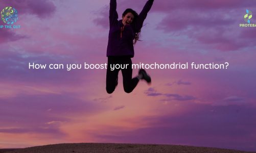 How can you boost mitochondrial function?
