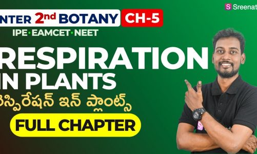 Respiration in Plants – Full Chapter | Inter 2nd Year Botany | Chapter 5 | Sreenath Academy