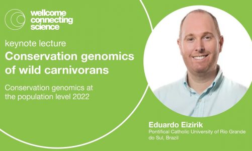 Conservation genomics of wild carnivores – Eduardo Eizirik | Keynote lecture |