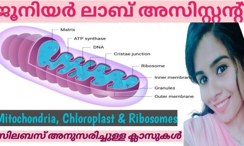 JUNIOR LAB ASSISTANT/BOTANY CLASS/CELL ORGANELLES PART-1