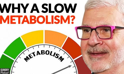 The #1 REASON You Might Have A SLOW Metabolism | Dr. Steven Gundry