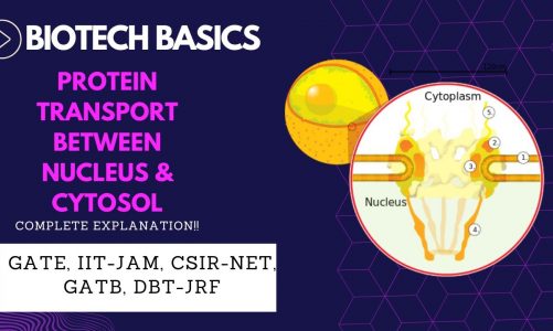 Transport of Proteins between Nucleus & Cytosol || GATE || IITJAM || CSIR || DBT || ICMR || ICAR