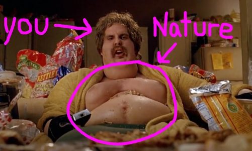 Why Nature Wants Us To Be Fat – Part 2