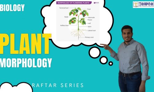 Biology NEET UG 2023 Raftar Series Lecture 46 I Respiration 2 By Dr. Mohammed Usman