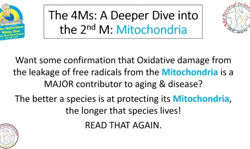 The 4Ms – Mitochondria (2 of 4)