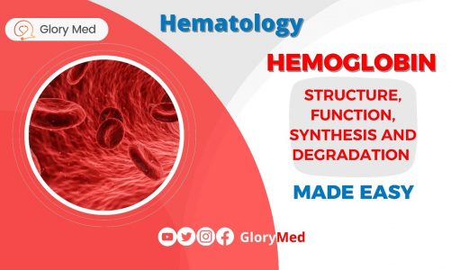 Hemoglobin structure, function, heme synthesis pathway & degradation made easy
