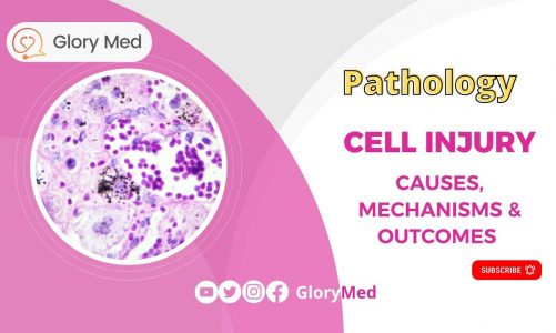 Pathology || Cellular Injury: Reversible & Irreversible made easy for USMLE Step 1