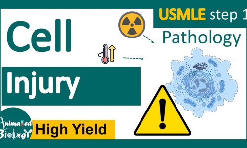 Cell Injury | Reversible vs Irreversible cell injury | General Pathology Animated USMLE  step1