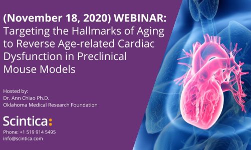 WEBINAR: Target Hallmarks of Aging to Reverse Age-related Cardiac Dysfunction in Preclinical Mouse