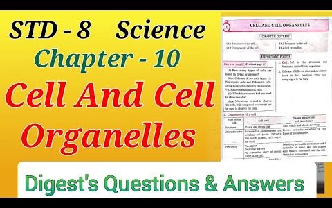 Std.8 | Science Lesson – 10 | Cell and Cell Organelles | Digest's Answers | Maharashtra Board