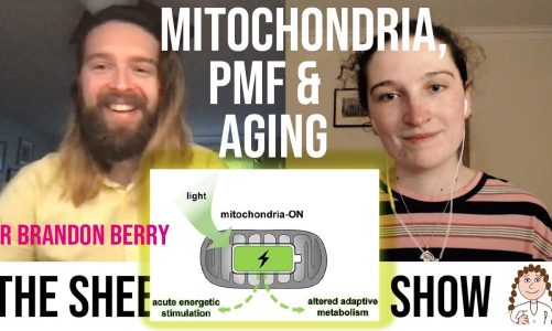 Extending lifespan by rejuvenating mitochondrial membrane potential – Dr Brandon Berry