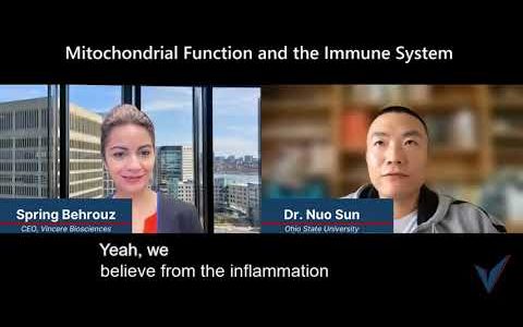 The link between mitochondria and inflammation
