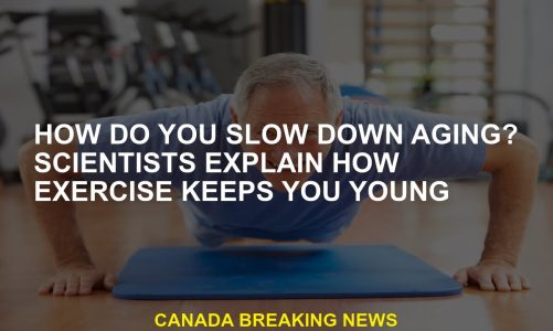 How do you slow down aging? Scientists explain how exercise keeps you young