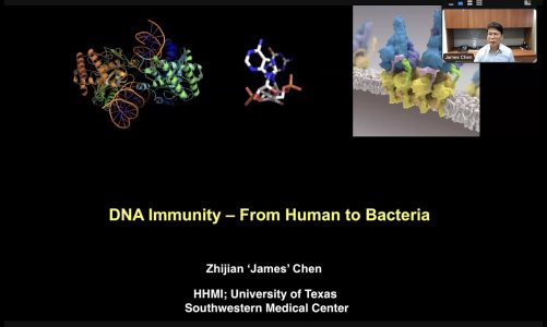 “DNA Immunity – From human to bacteria” by Dr. James Chen