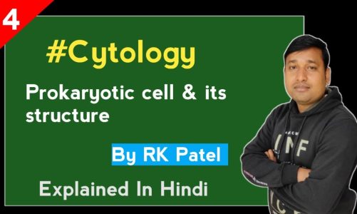 Cell biology part 4 || prokaryotic cell and it's structure || NEET UG  || Board exams || by RK patel