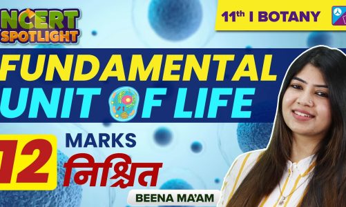 CELL: THE UNIT OF LIFE Class 11 Biology | NEET Previous Year Questions | NEET 2023 | Beena Ma'am